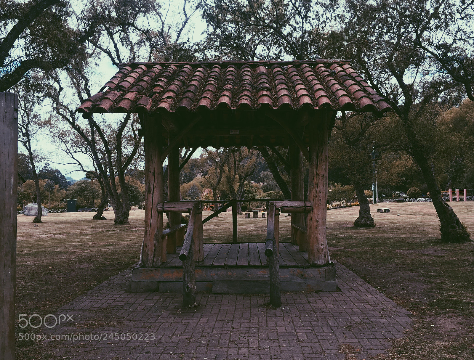 Apple iPhone 6s sample photo. Untitled photography