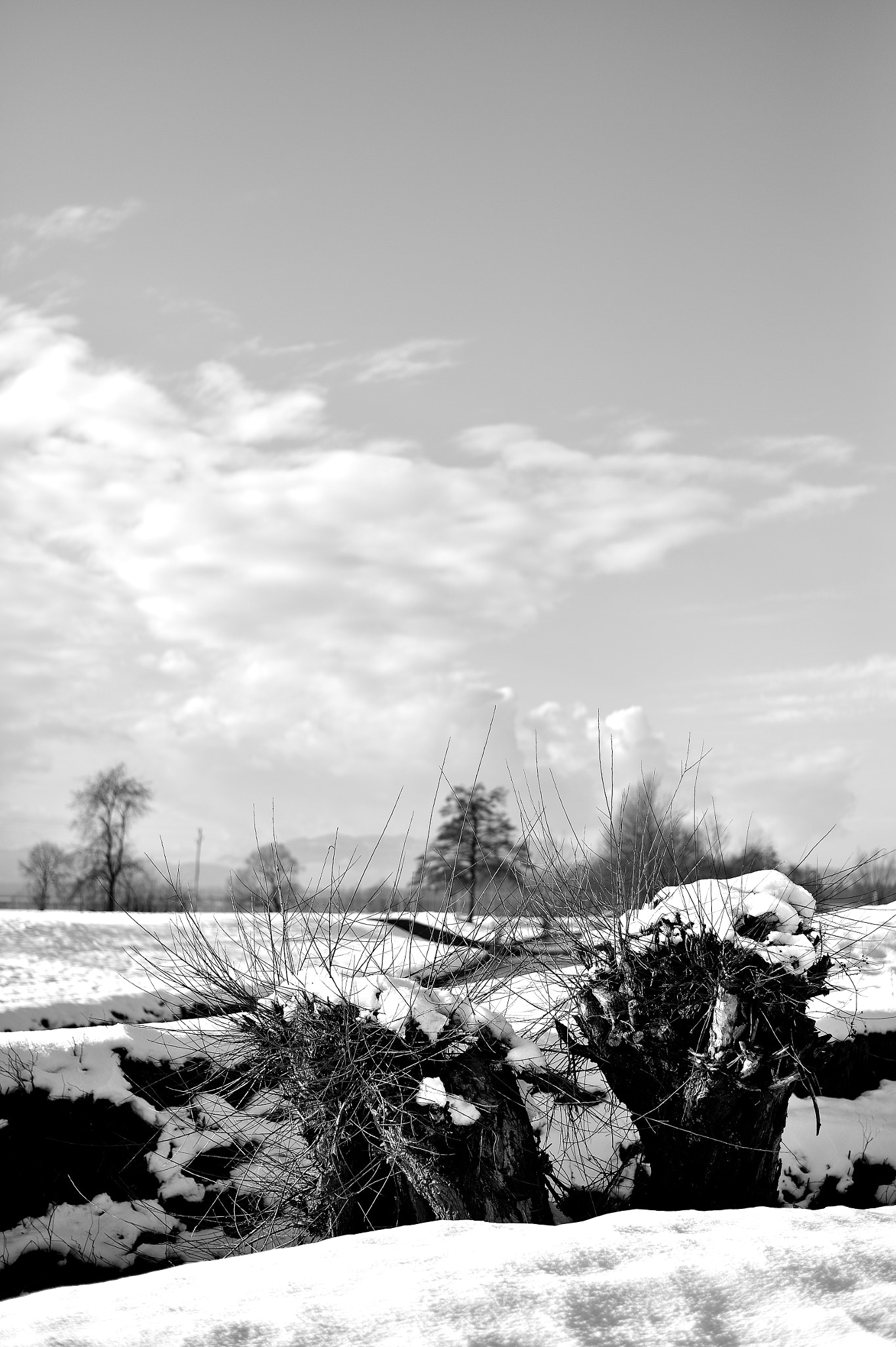 Nikon Df + Nikon AF-S Nikkor 50mm F1.8G sample photo. Winter twins photography