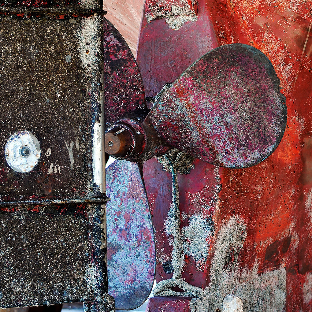 Nikon D300S sample photo. The helix photography