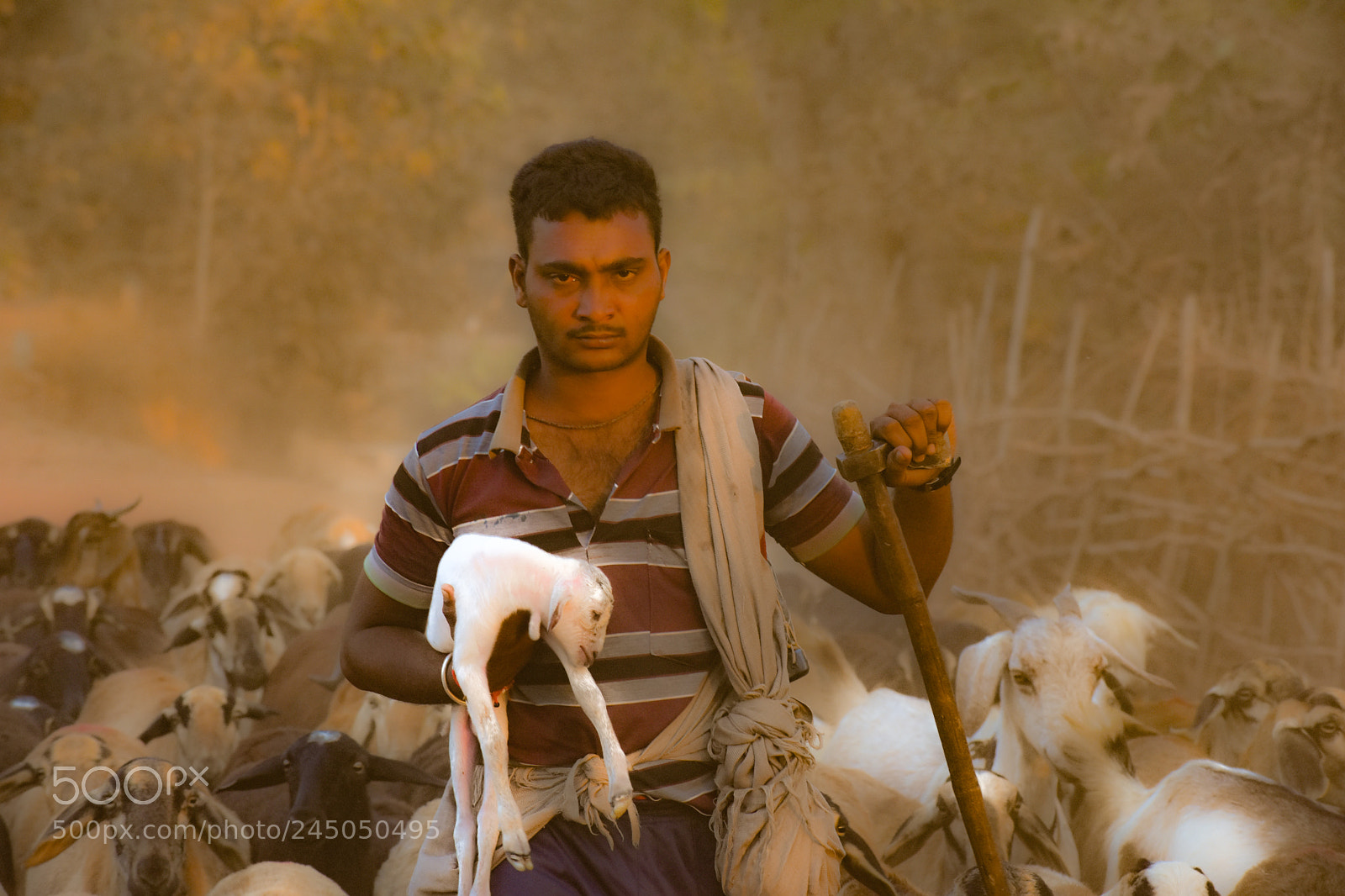 Nikon D3400 sample photo. Farmer photography