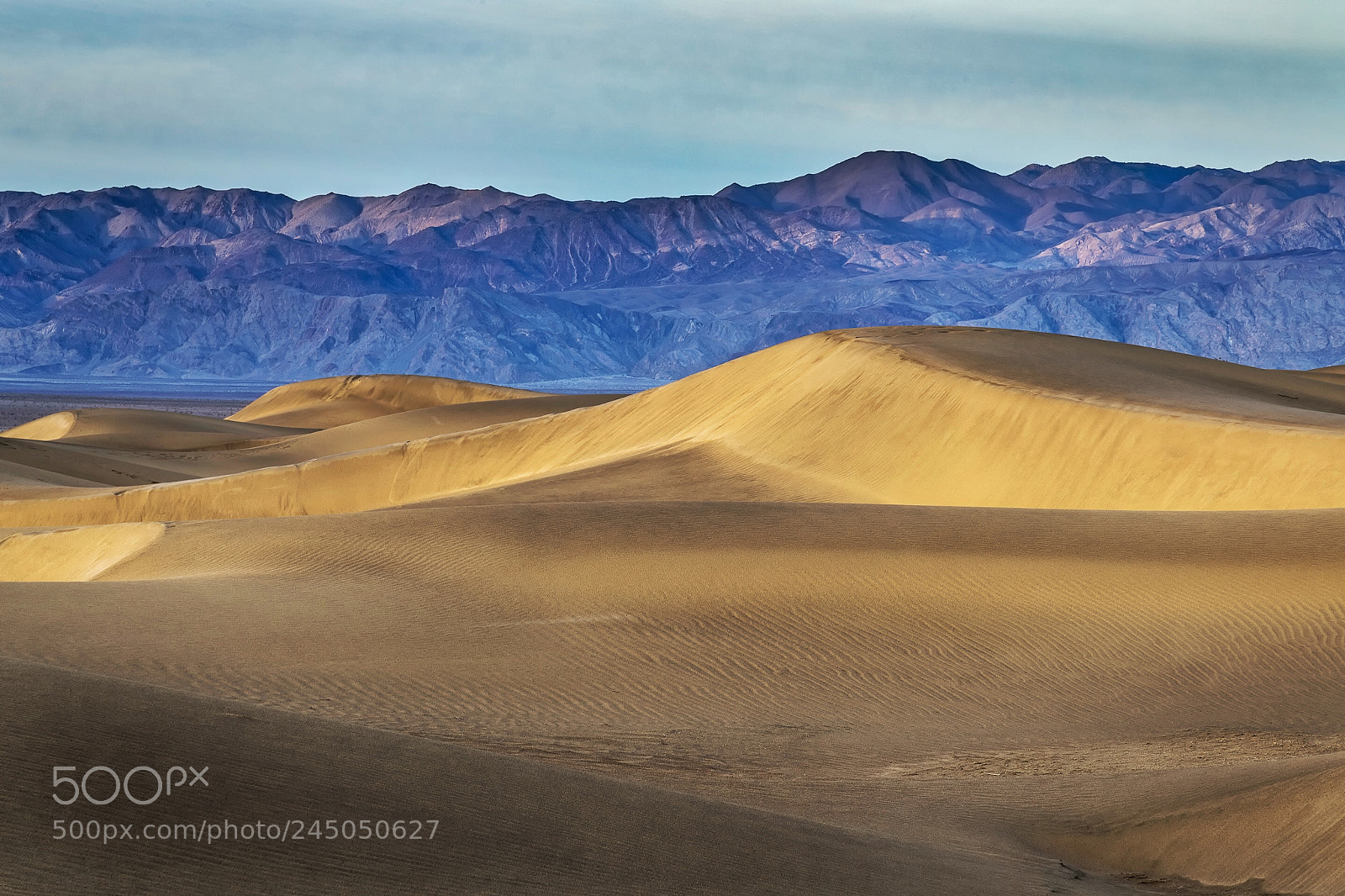 Nikon D850 sample photo. Early morning dune light photography