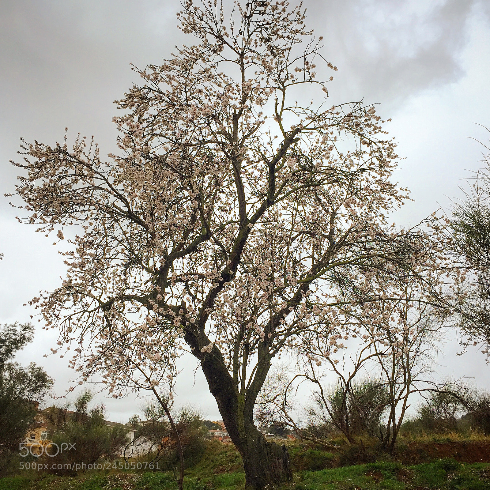 Apple iPhone 6 sample photo. Beautiful day ! ⛈? photography