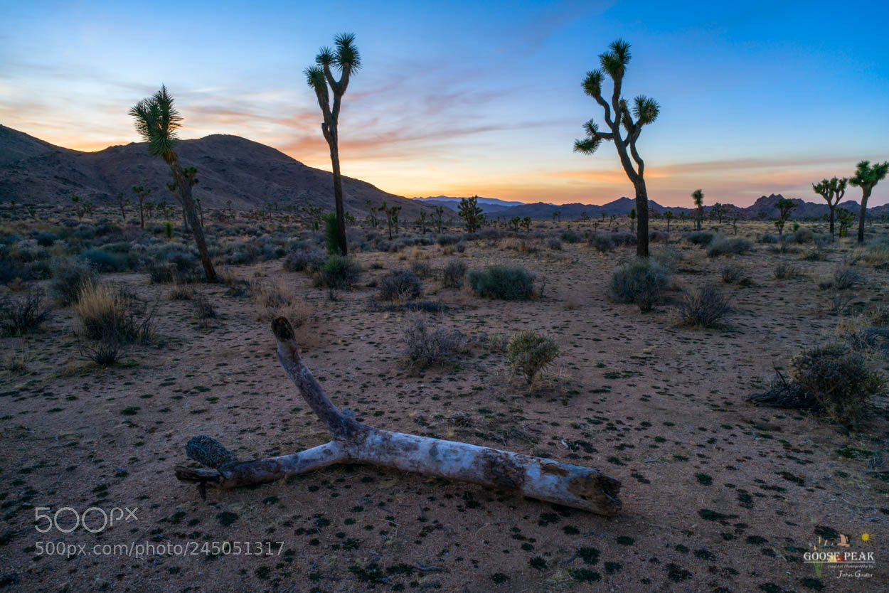 Sony a7R II sample photo. Sunset from joshua tree photography