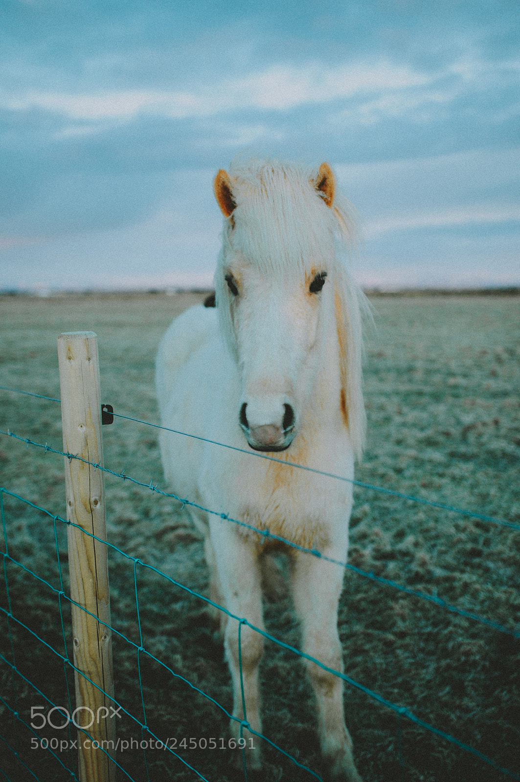 Nikon D90 sample photo. Iceland photography