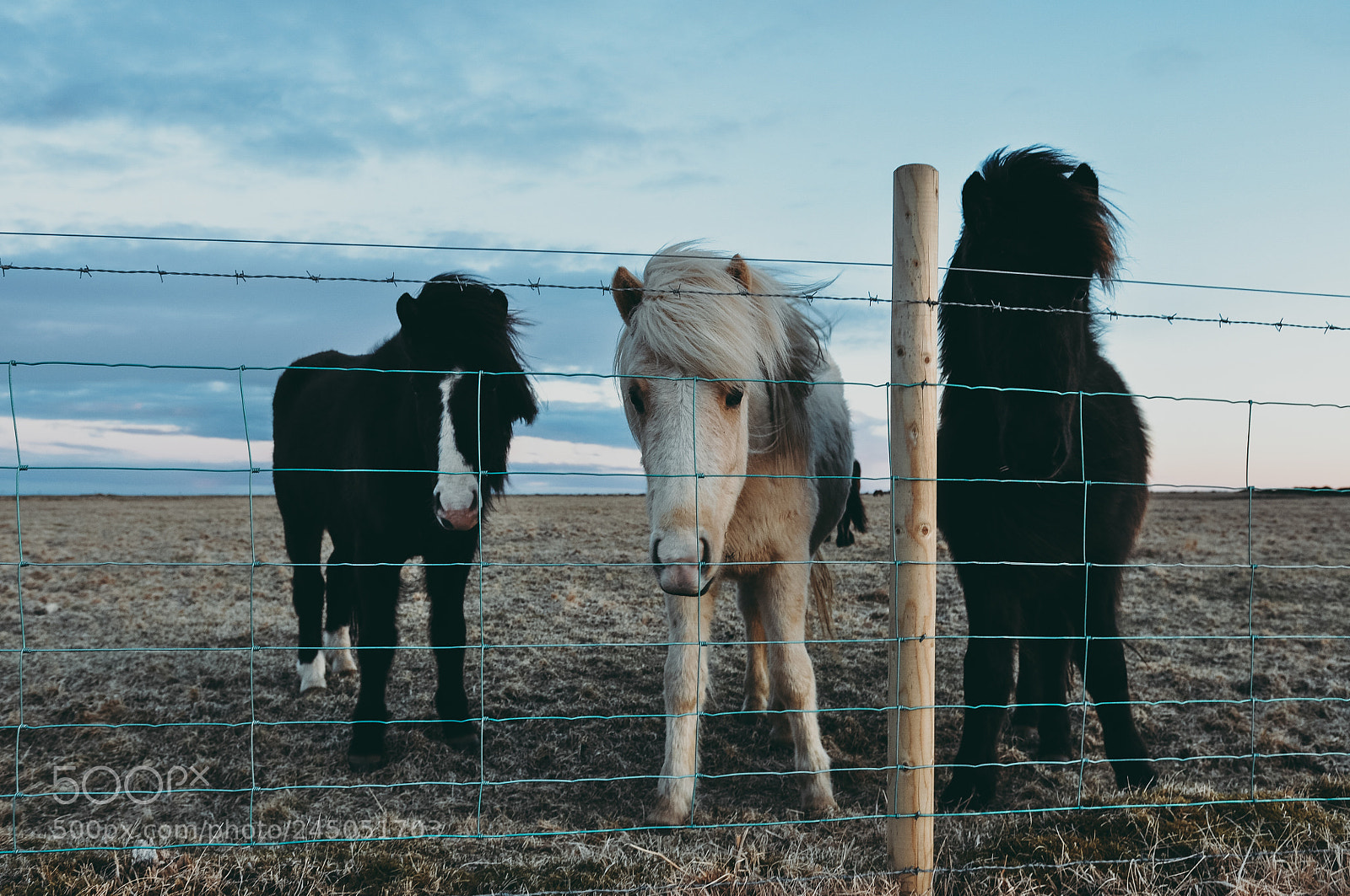 Nikon D90 sample photo. Iceland photography