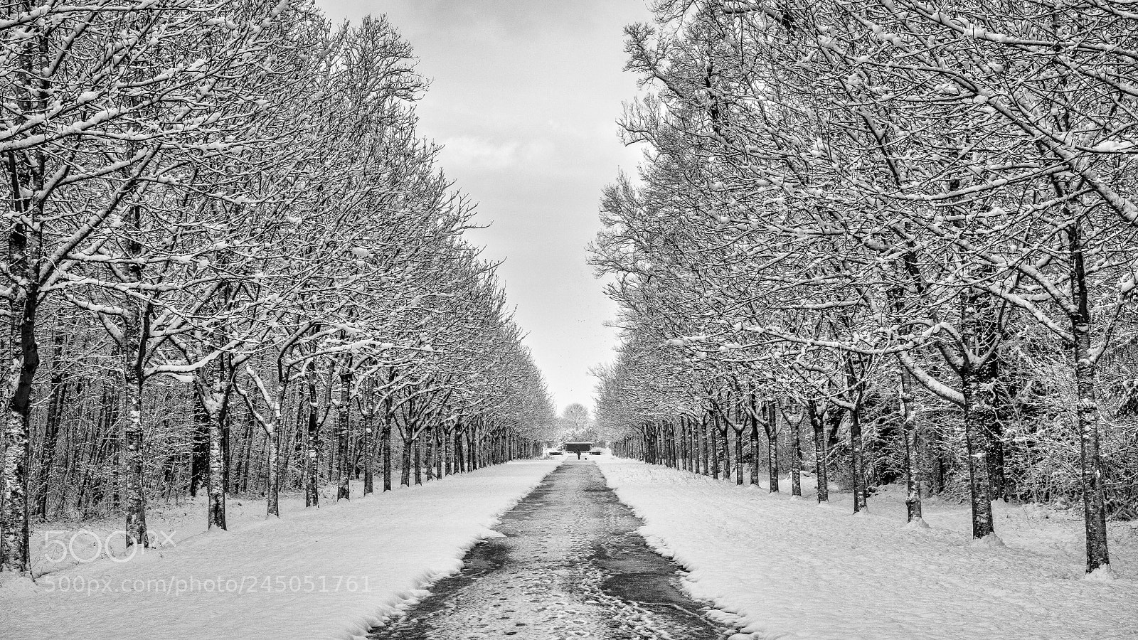 Canon EOS M3 sample photo. Winter alley photography