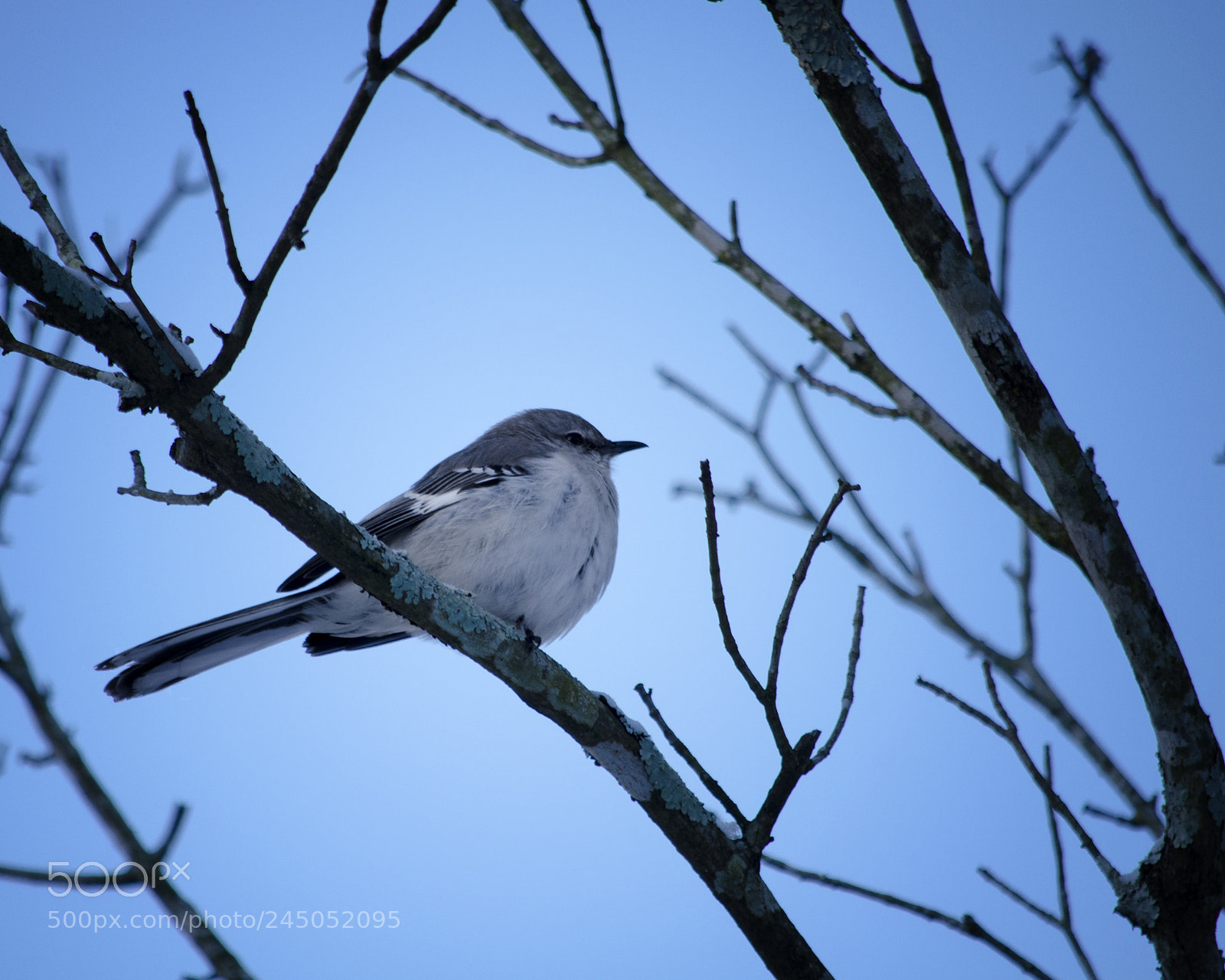 Nikon D5100 sample photo. Cold and lonely photography