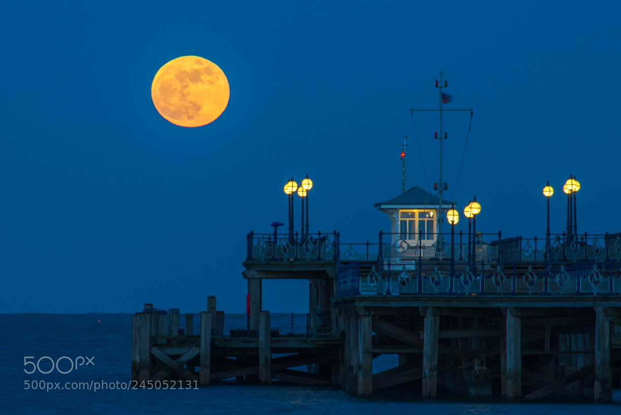 Nikon D610 sample photo. Super blue bllod moon photography