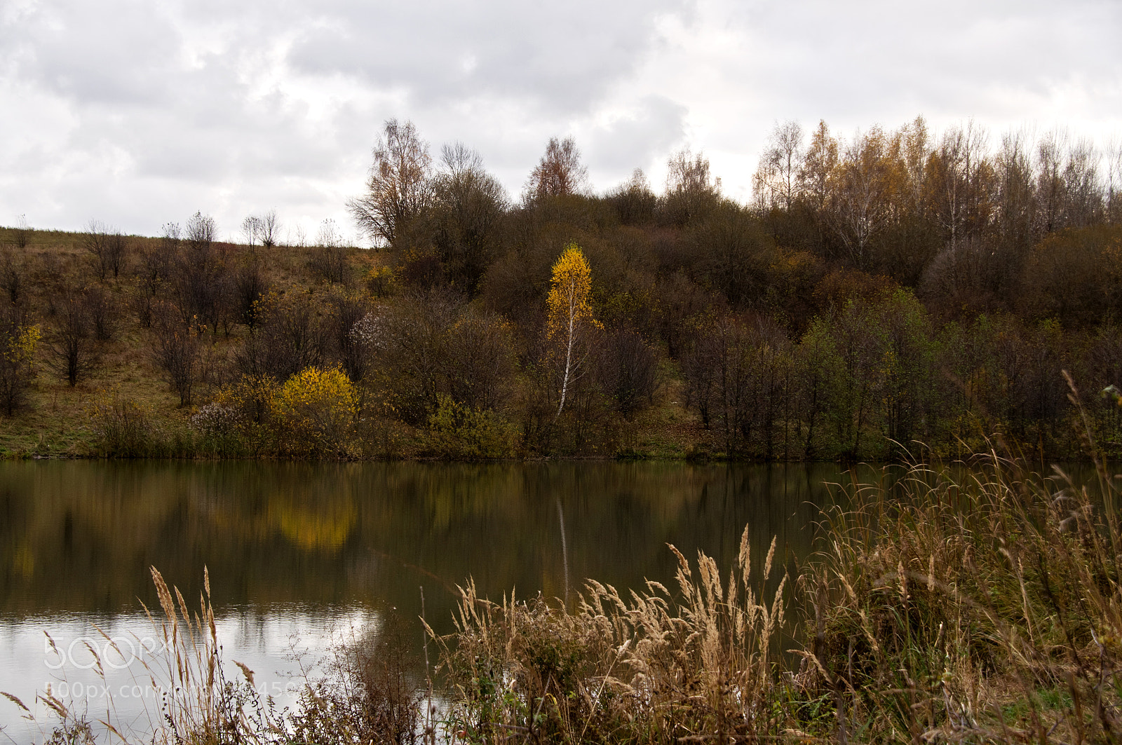Nikon D90 sample photo. Autumn time photography