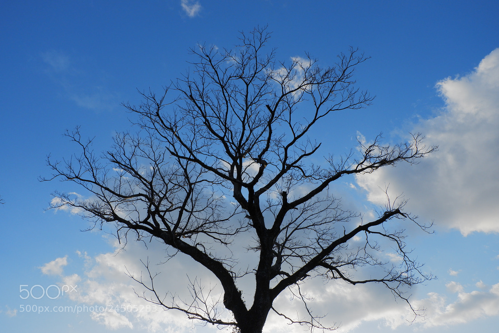 Fujifilm X-A3 sample photo. Blue sky and silhouette photography