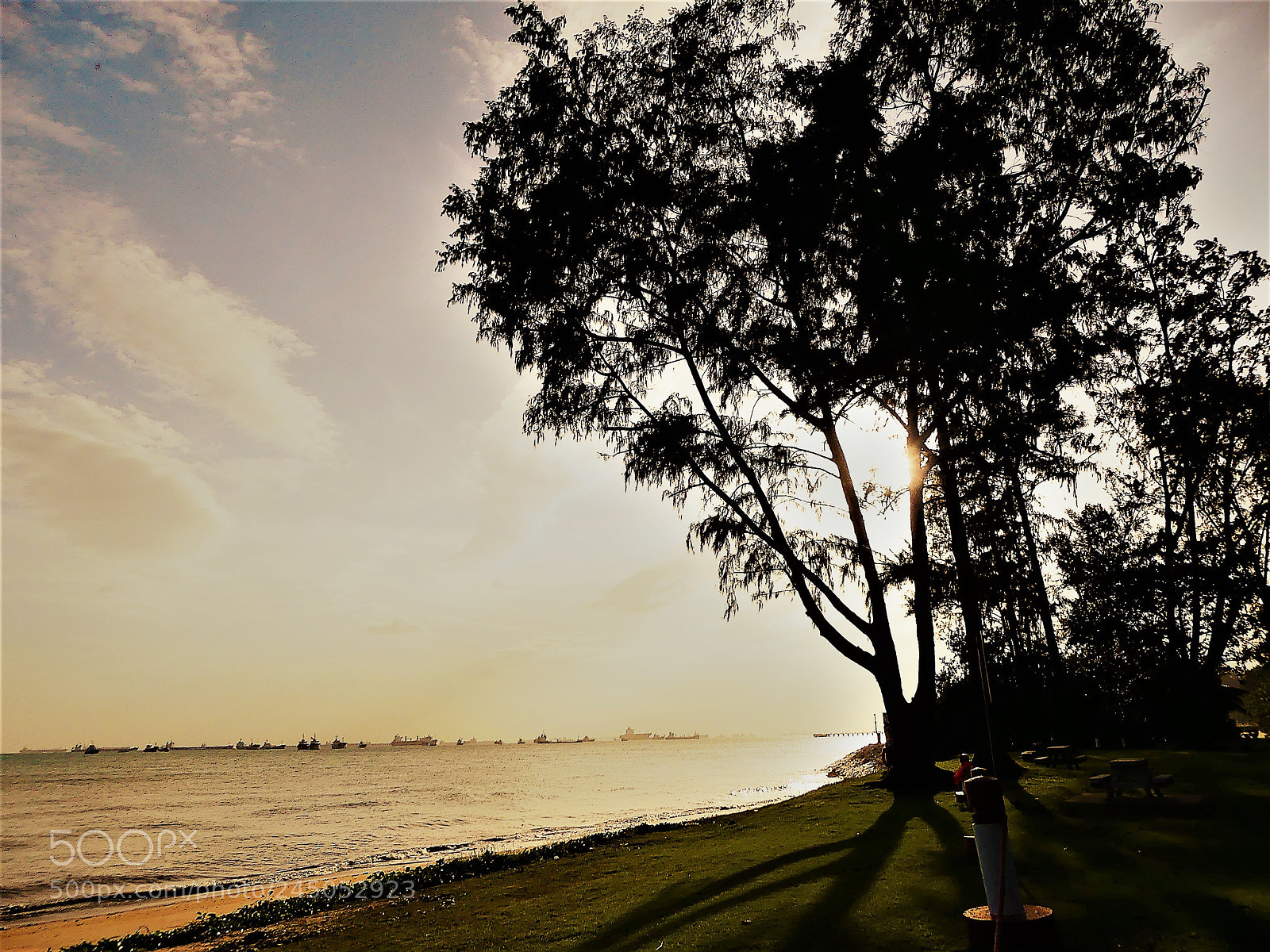 Panasonic Lumix DMC-FZ300 sample photo. #nature photography