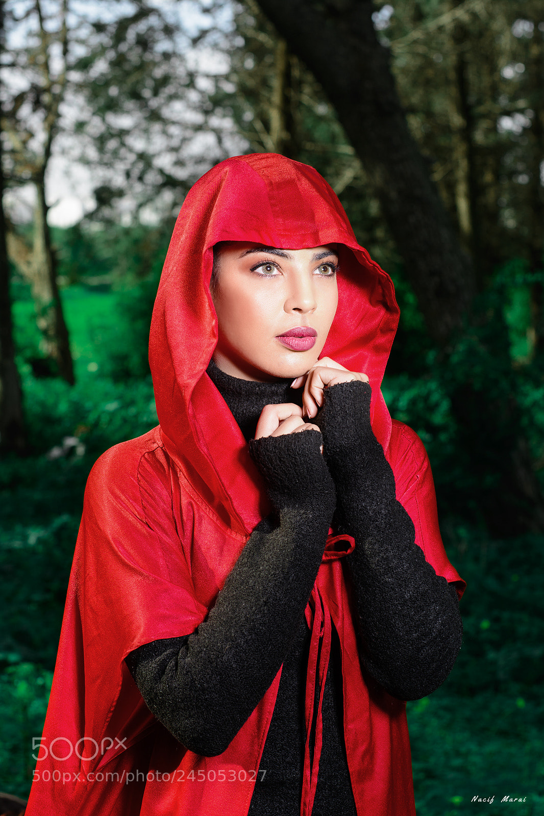 Nikon D7100 sample photo. Red riding hood photography
