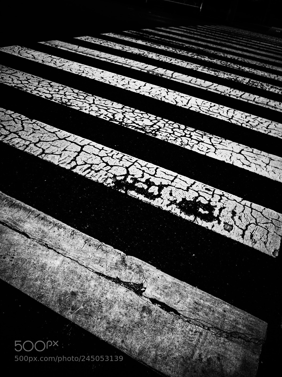 Ricoh GR II sample photo. Untitled photography