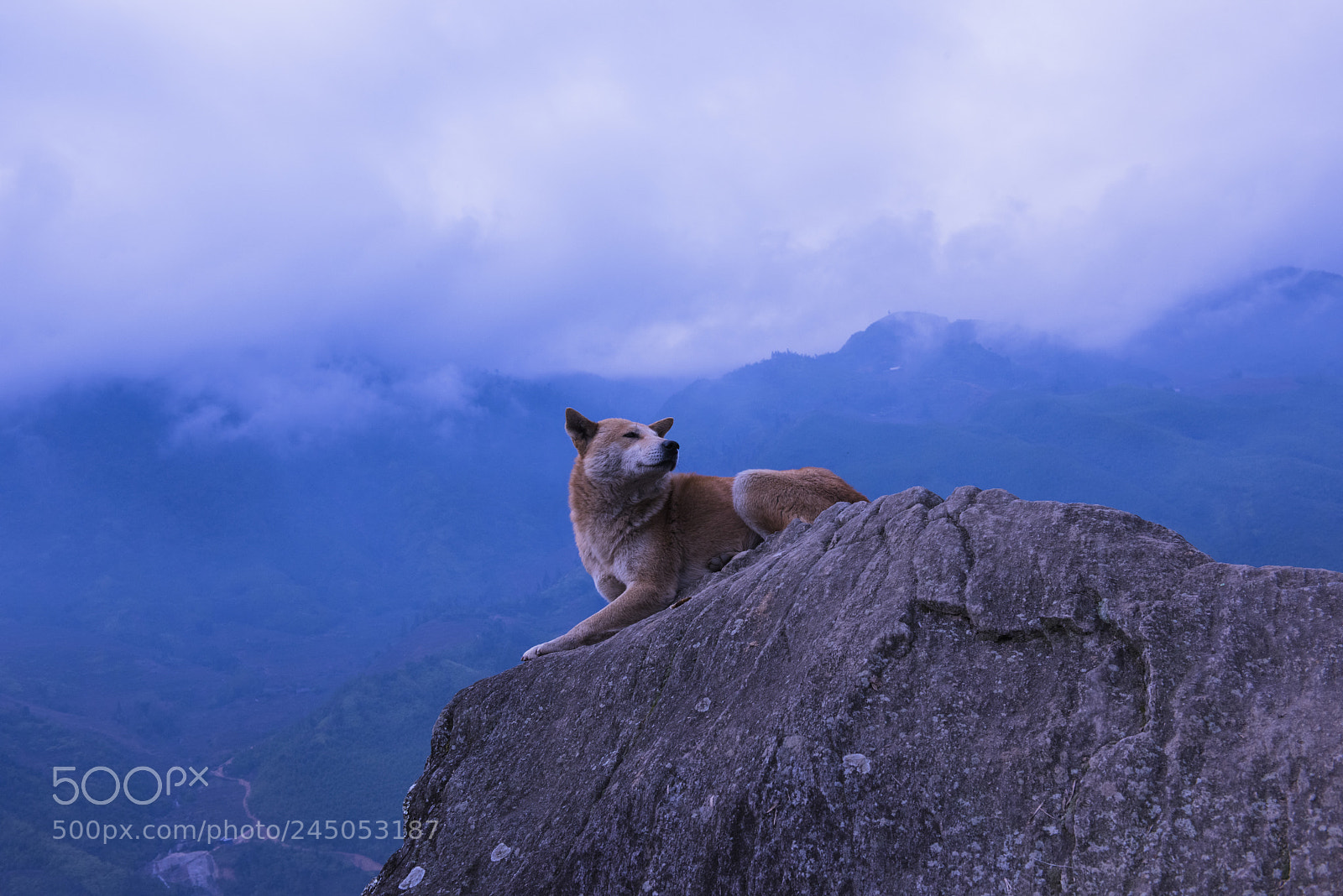 Nikon D810 sample photo. King of the mountains photography