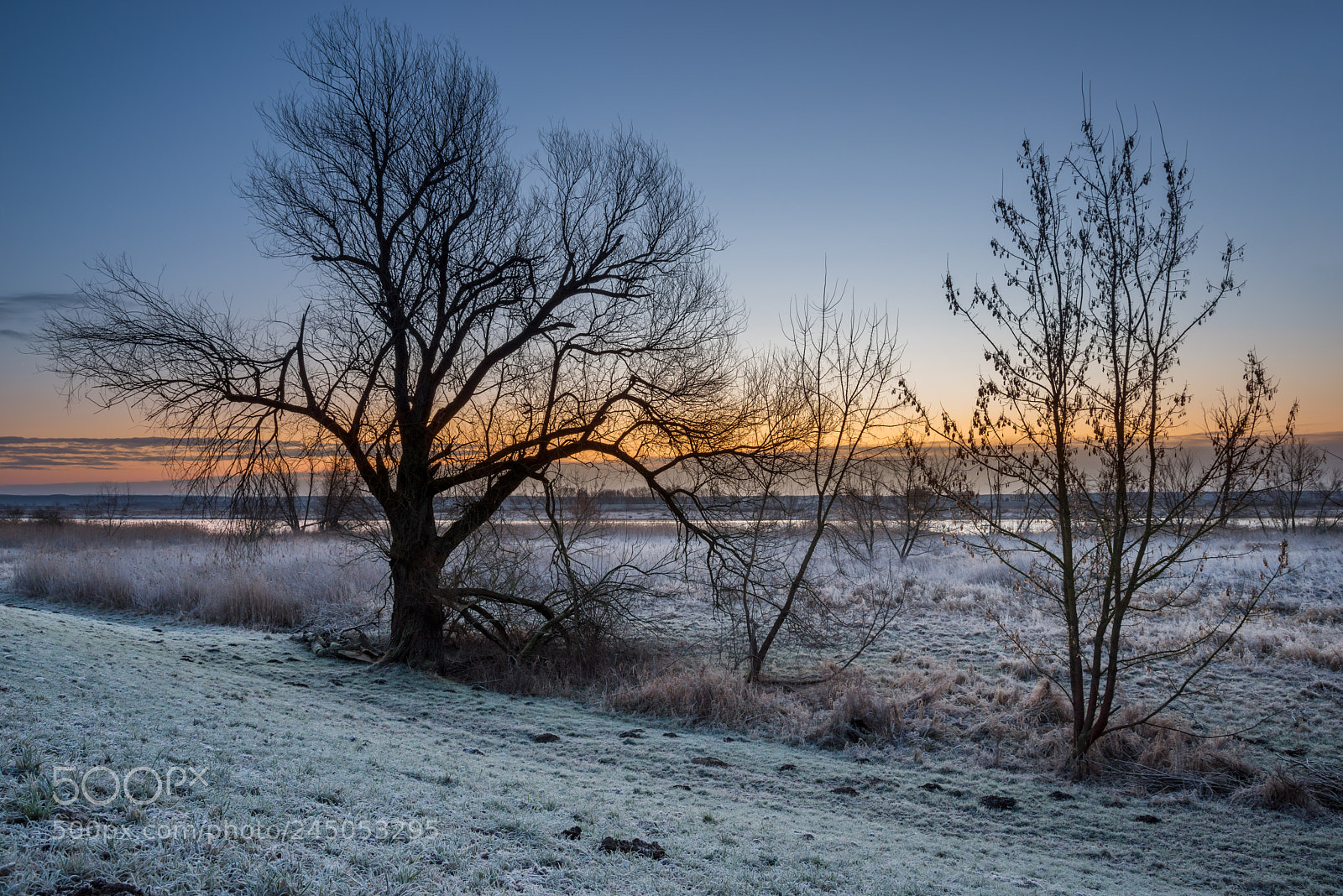 Pentax K-1 sample photo. Winter morning on the photography