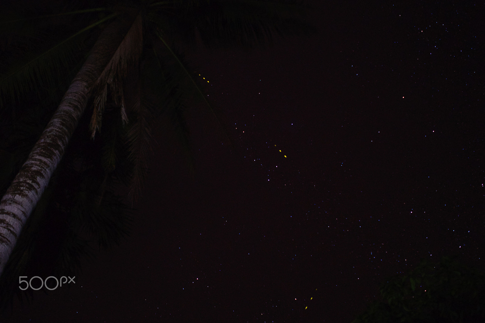 Panasonic Lumix DMC-GX85 (Lumix DMC-GX80 / Lumix DMC-GX7 Mark II) sample photo. Three shooting stars photography