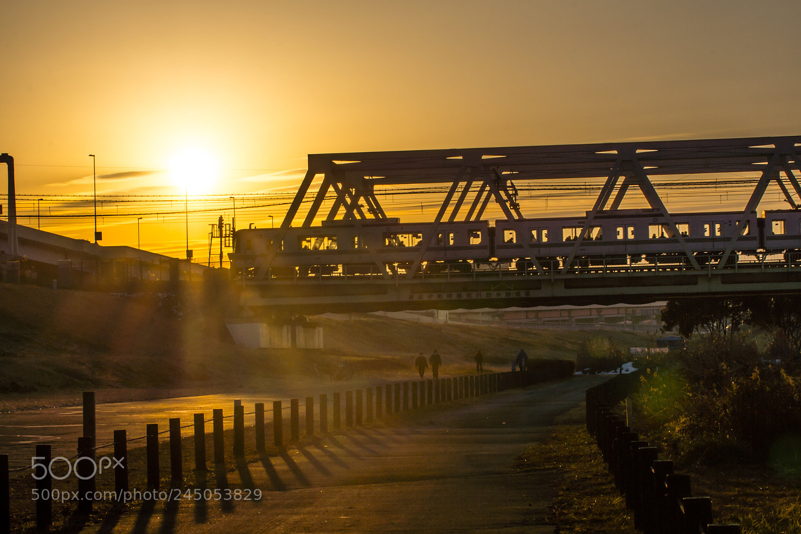 Sony SLT-A77 sample photo. Run for the sun photography
