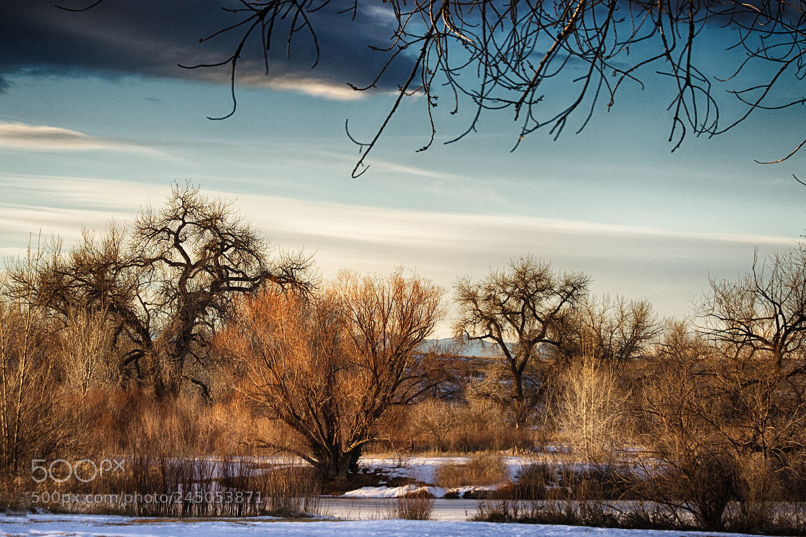 Canon EOS 7D Mark II sample photo. A winters view photography