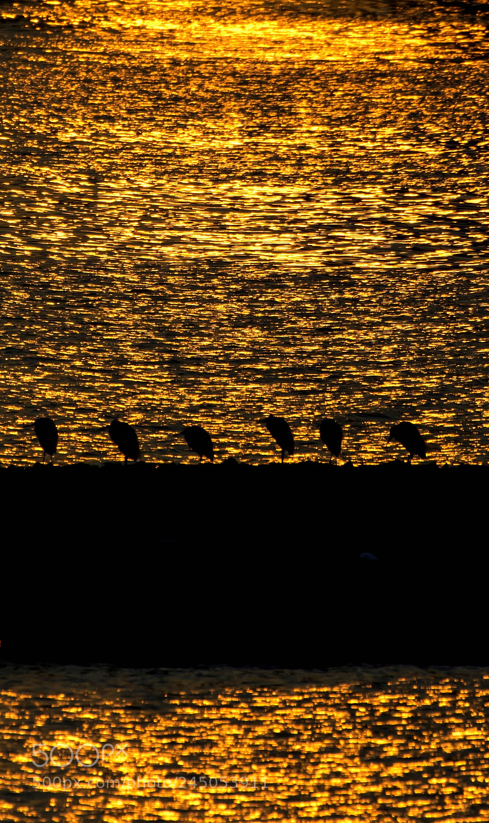 Nikon D7100 sample photo. Untitled photography
