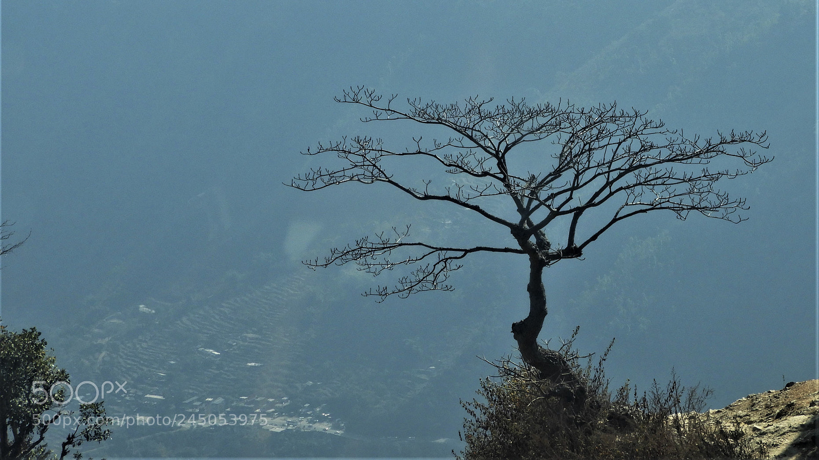 Nikon Coolpix B700 sample photo. Waiting for spring photography