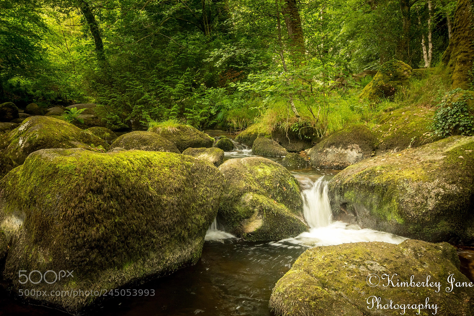 Nikon D7100 sample photo. Becky falls, dartmoor national photography