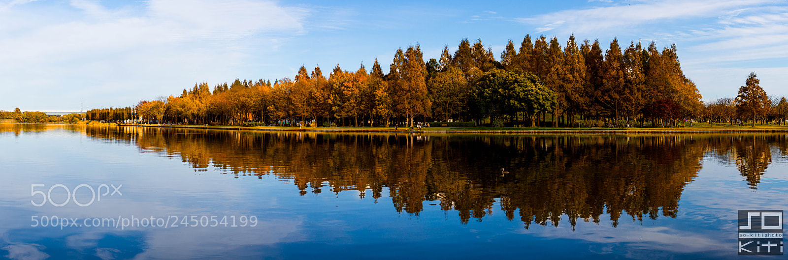 Sony Alpha NEX-7 sample photo. Mizumoto park photography