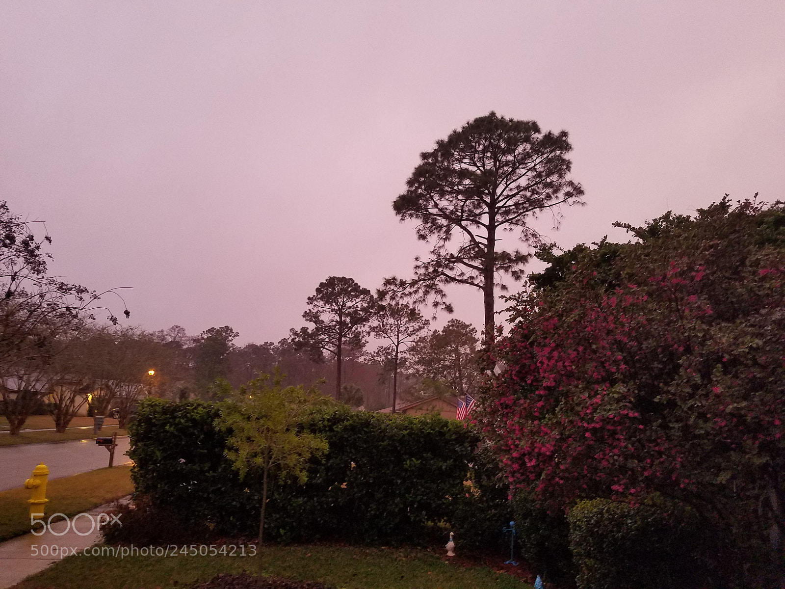 Samsung Galaxy S7 Edge sample photo. Rainy day photography