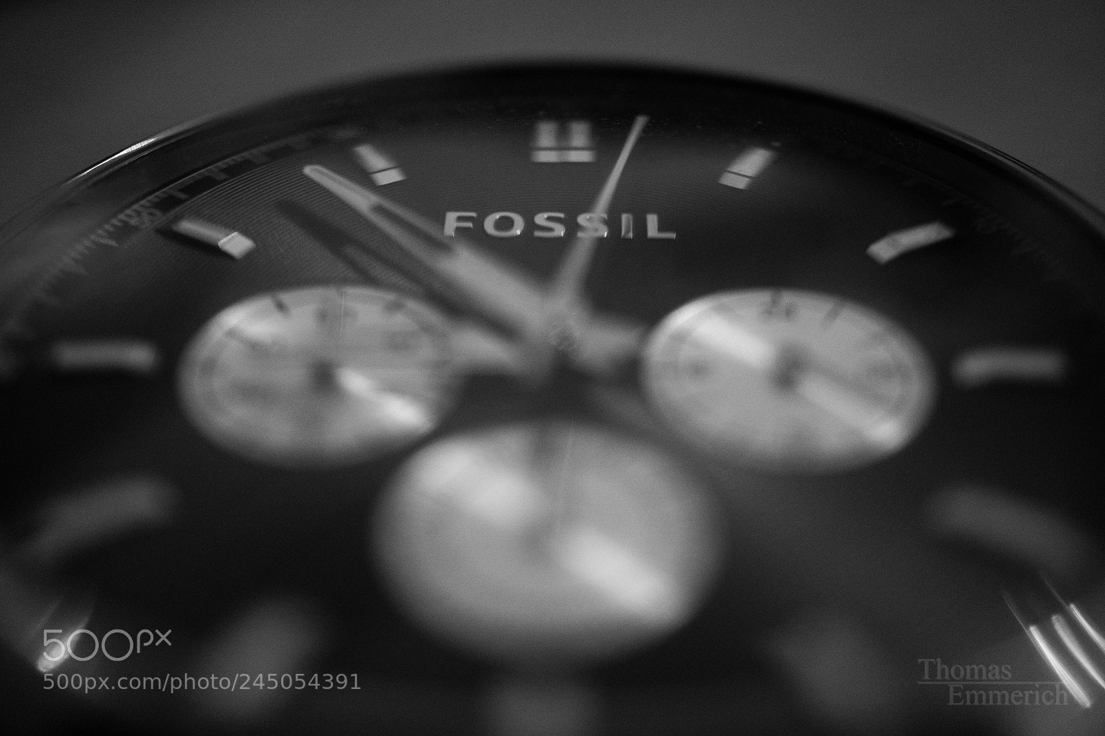 Sony a6500 sample photo. Fossil photography