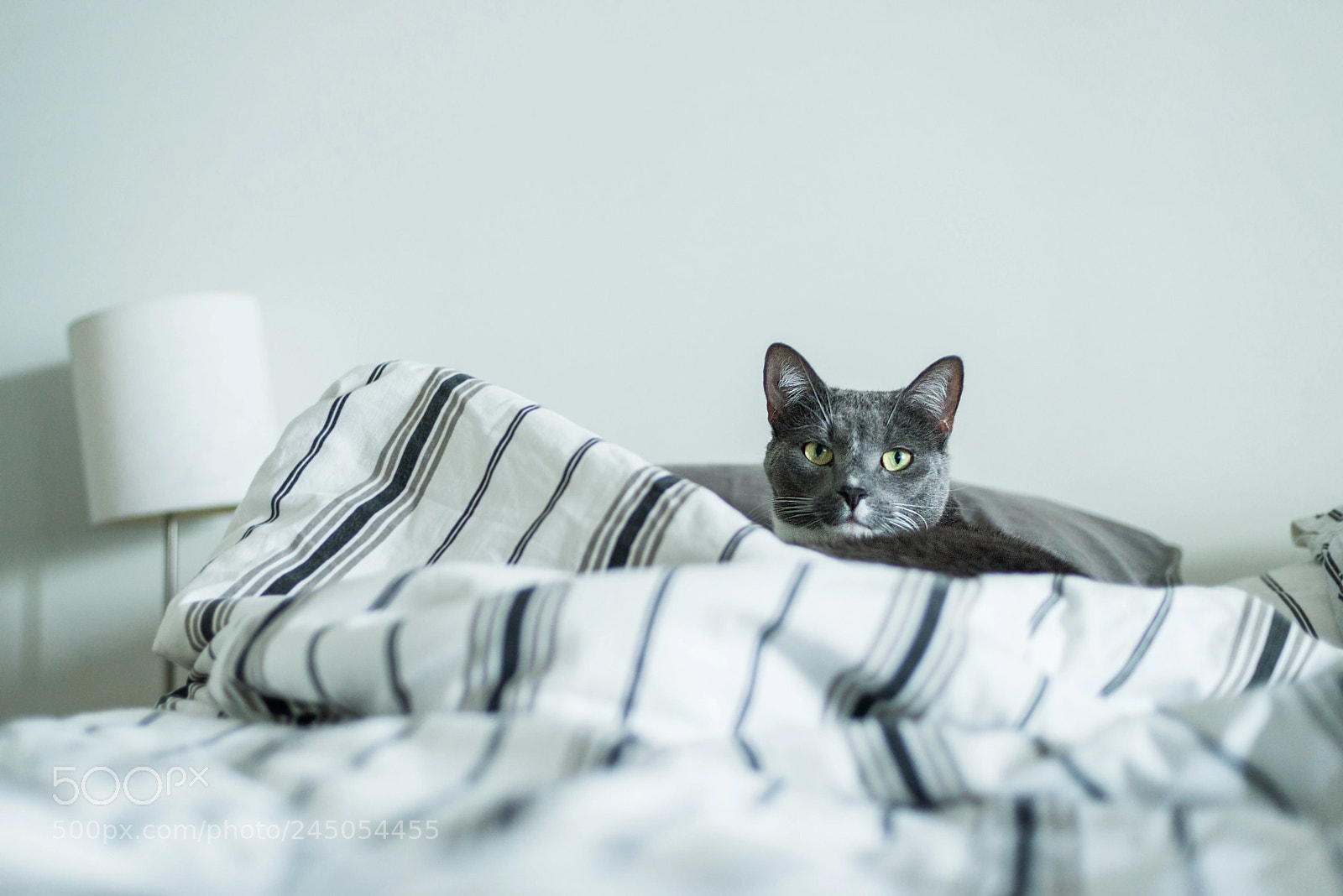 Nikon D600 sample photo. Sulo photography