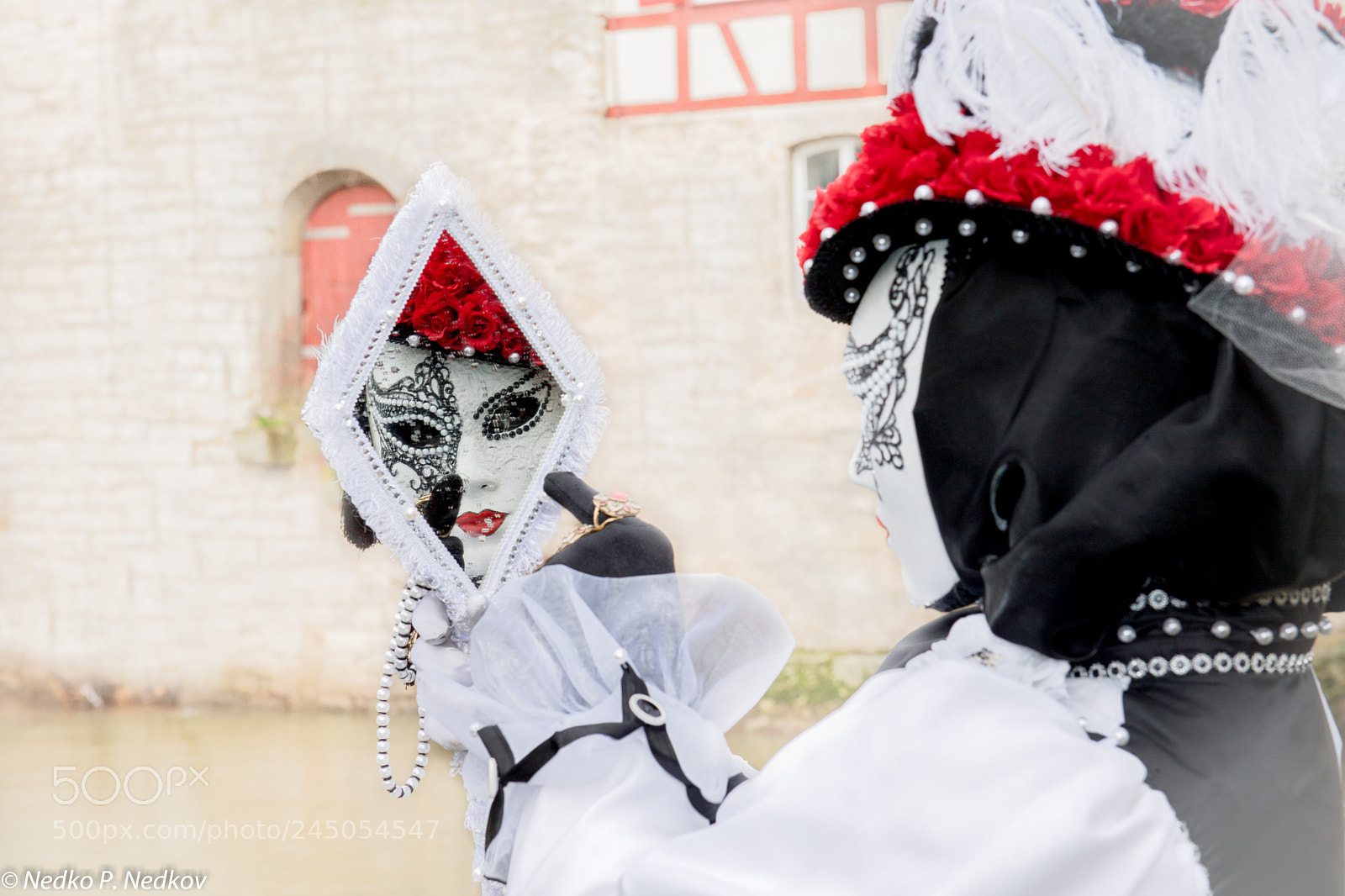 Nikon D5 sample photo. I see you... photography