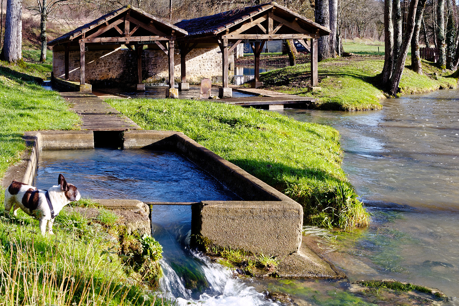 Pentax K-S2 sample photo. Lavoir et sa rivière photography