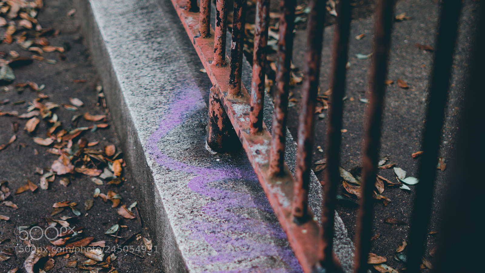 Sony a6500 sample photo. Spray grey new orleans photography
