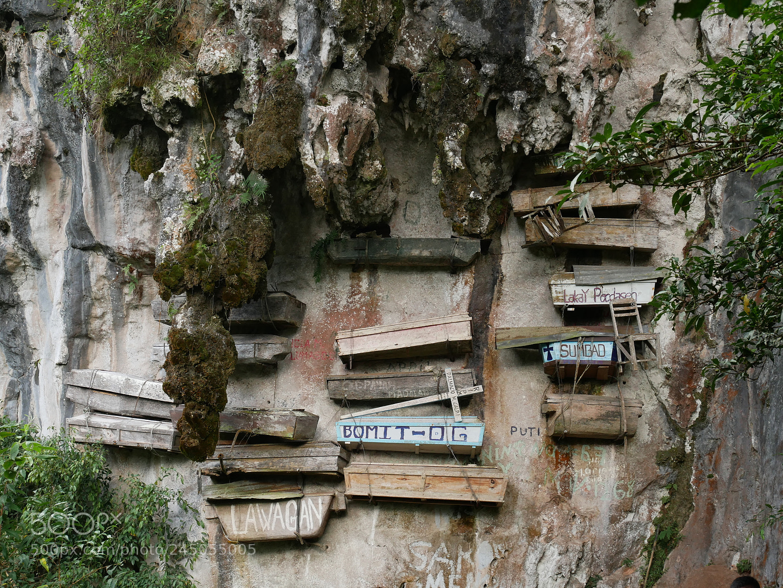 Panasonic Lumix DMC-GX85 (Lumix DMC-GX80 / Lumix DMC-GX7 Mark II) sample photo. Hanging coffins, november 2017, philippines photography