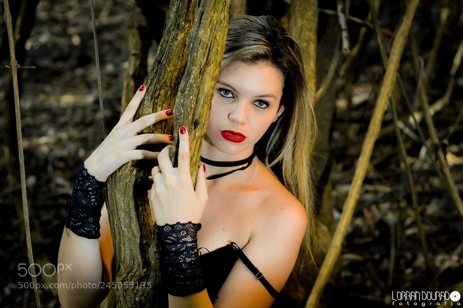 Nikon D3100 sample photo. Untitled photography