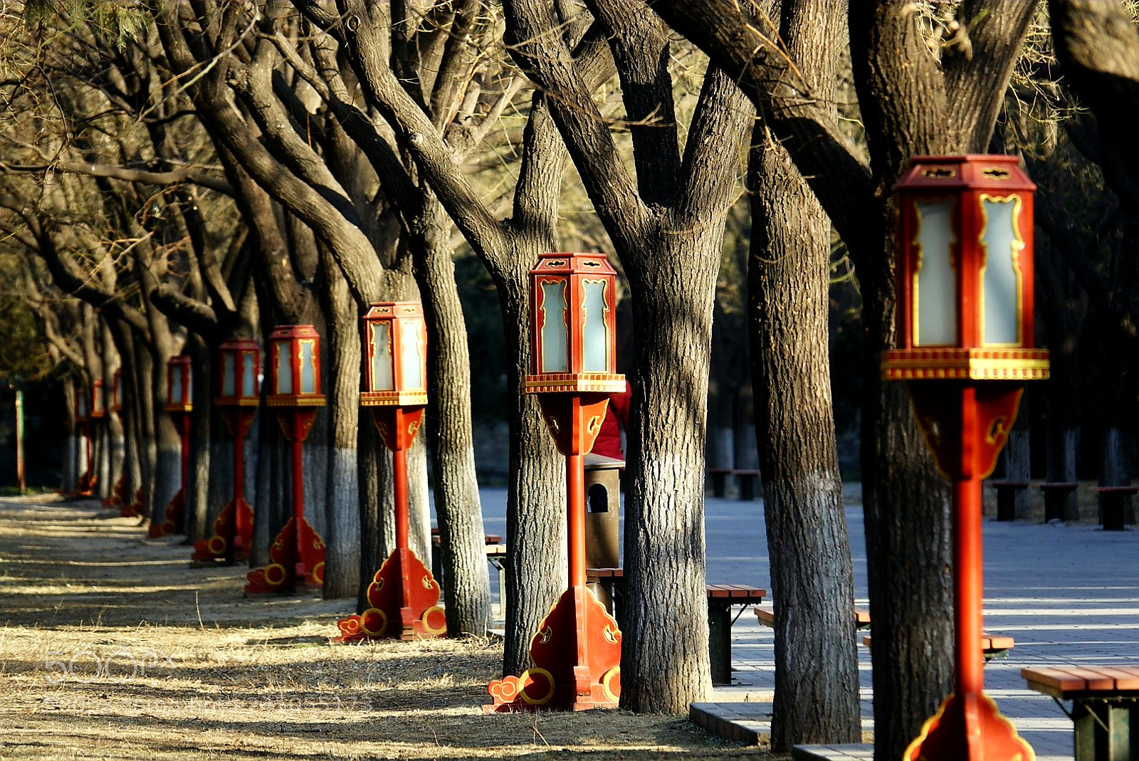 Sony Cyber-shot DSC-RX10 III sample photo. 宫灯 photography