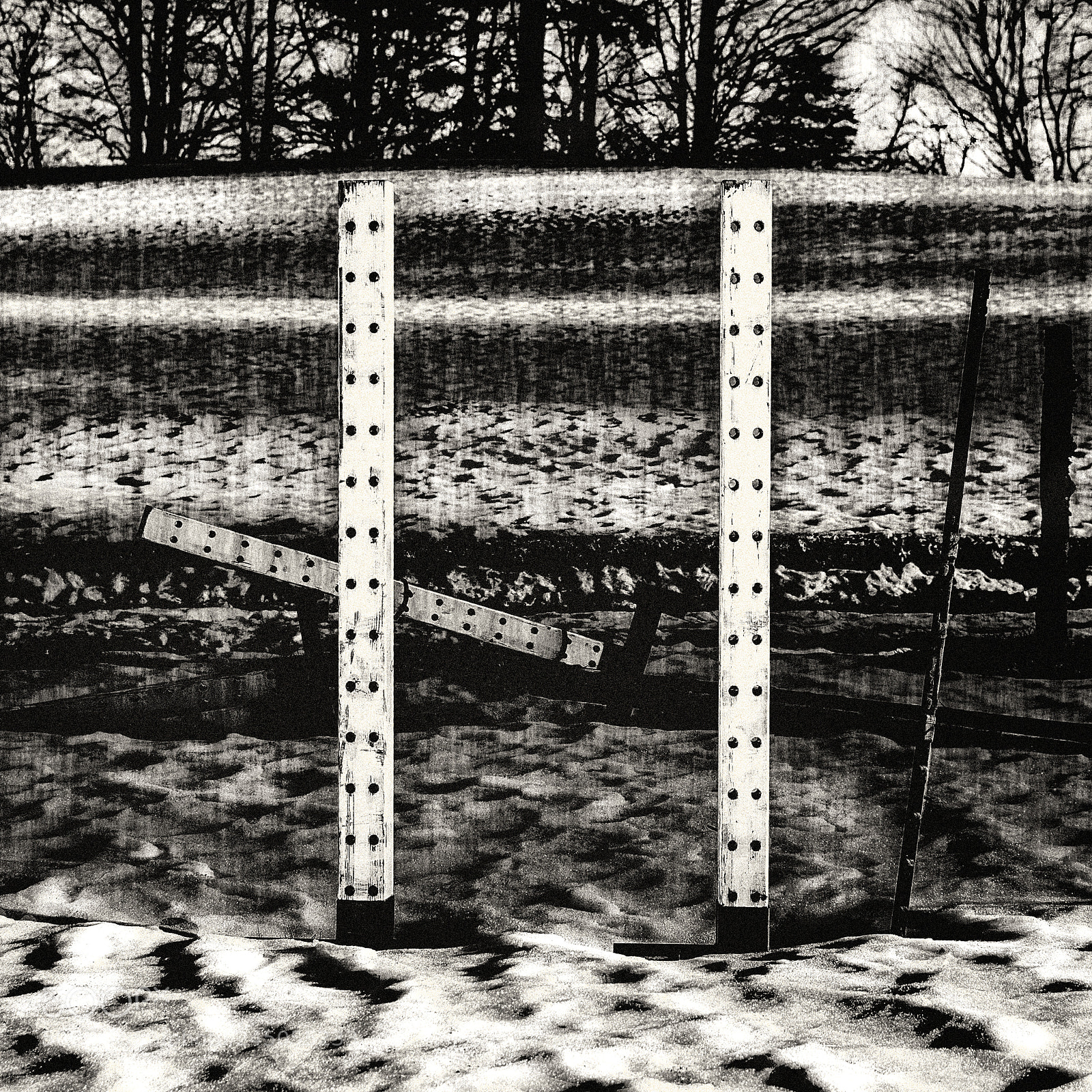 Nikon D500 sample photo. L'obstacle photography