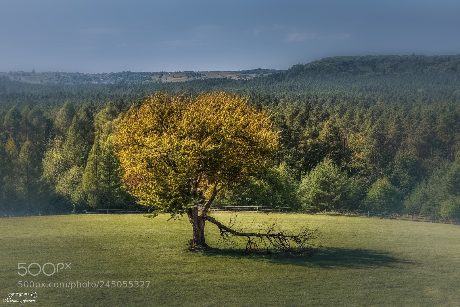 Nikon D7200 sample photo. Roztoczański park narodowy photography