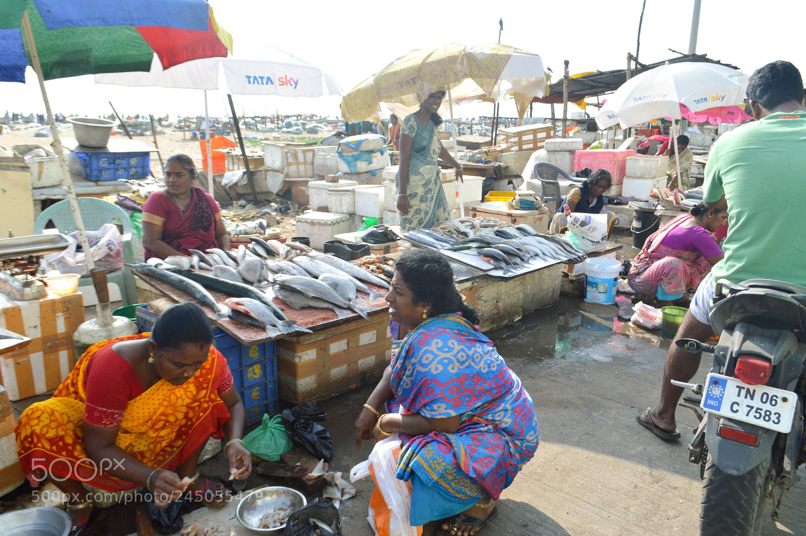 Nikon D3200 sample photo. Fish market photography