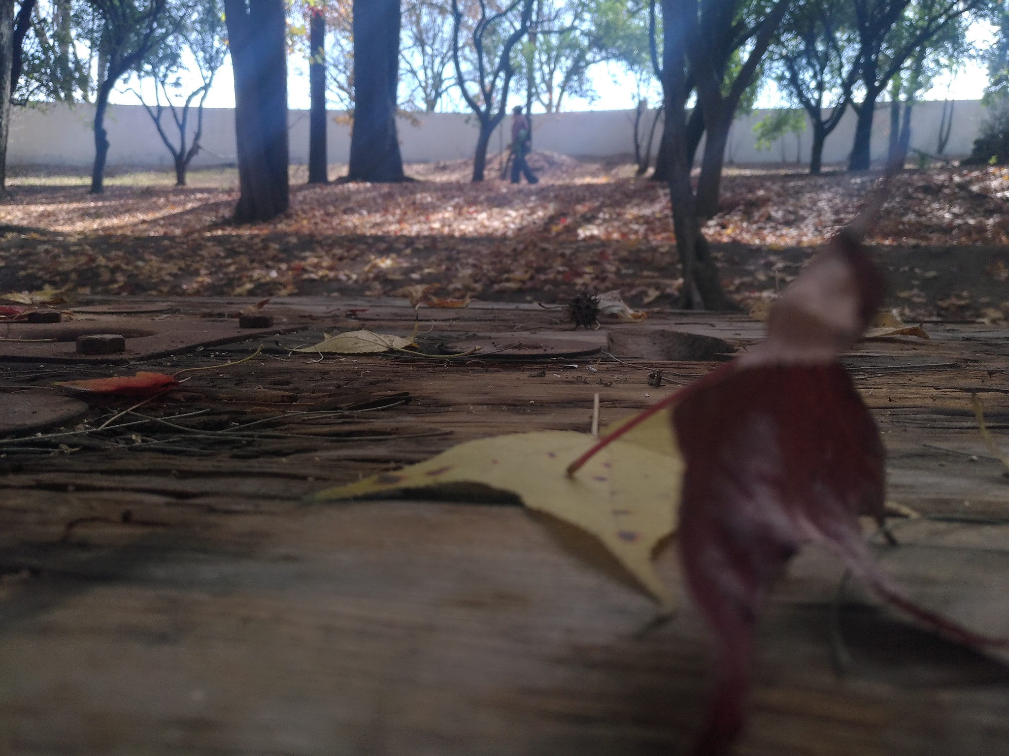ASUS Z012DC sample photo