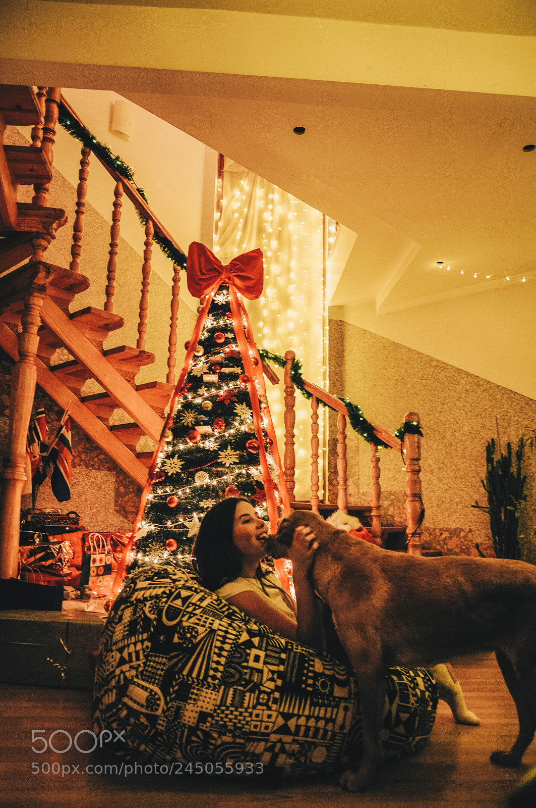Nikon D90 sample photo. Christmas is in the photography