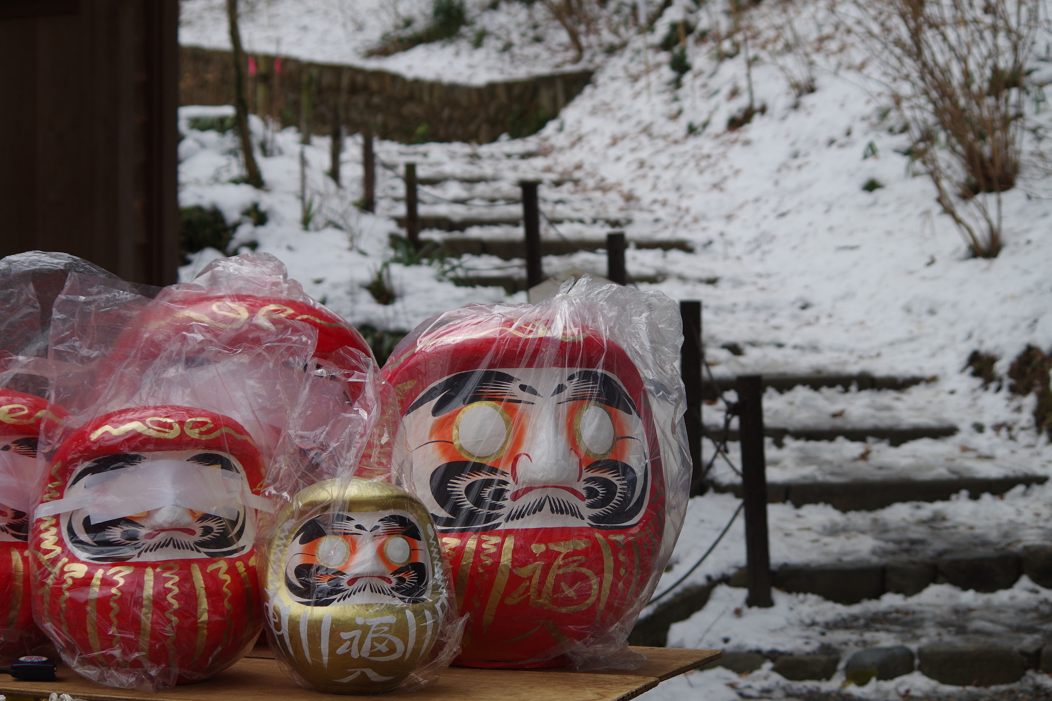 smc PENTAX-DA L 55-300mm F4-5.8 ED sample photo. Chilly daruma. photography