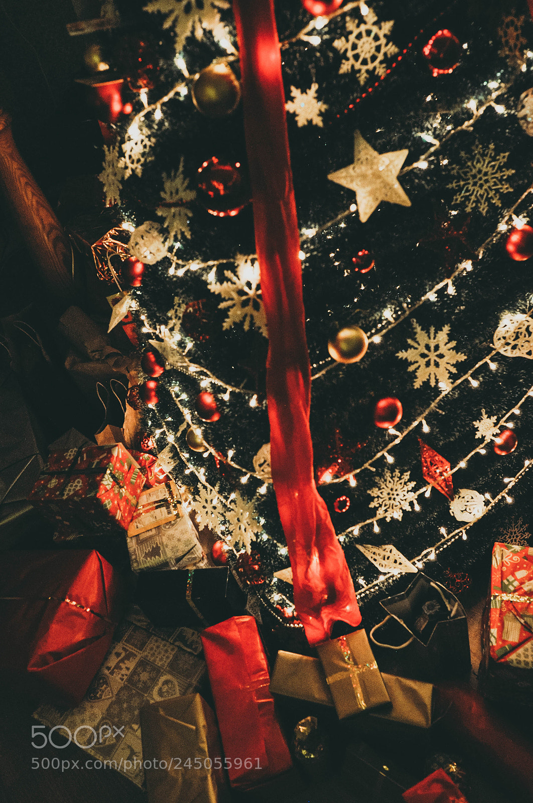 Nikon D90 sample photo. Christmas is in the photography