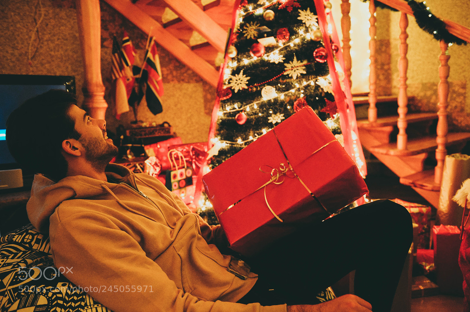 Nikon D90 sample photo. Christmas is in the photography