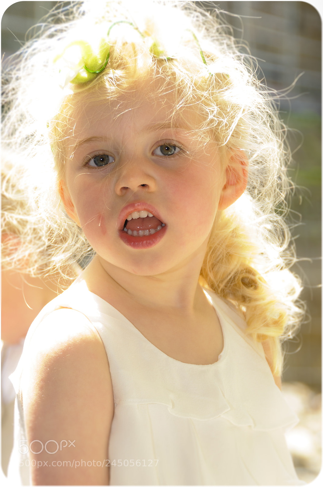 Nikon D300 sample photo. 22431343749.jpg photography