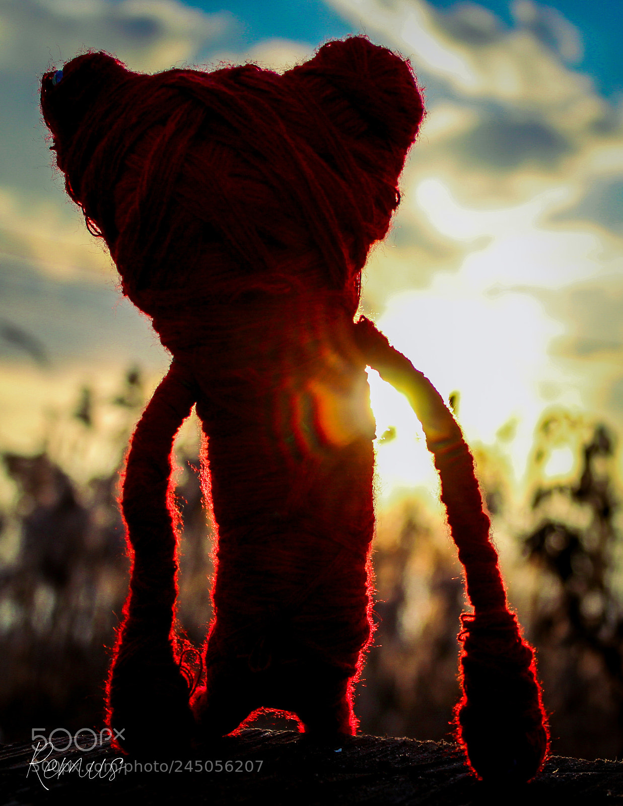 Canon EOS 1300D (EOS Rebel T6 / EOS Kiss X80) sample photo. Sunset with yarny photography