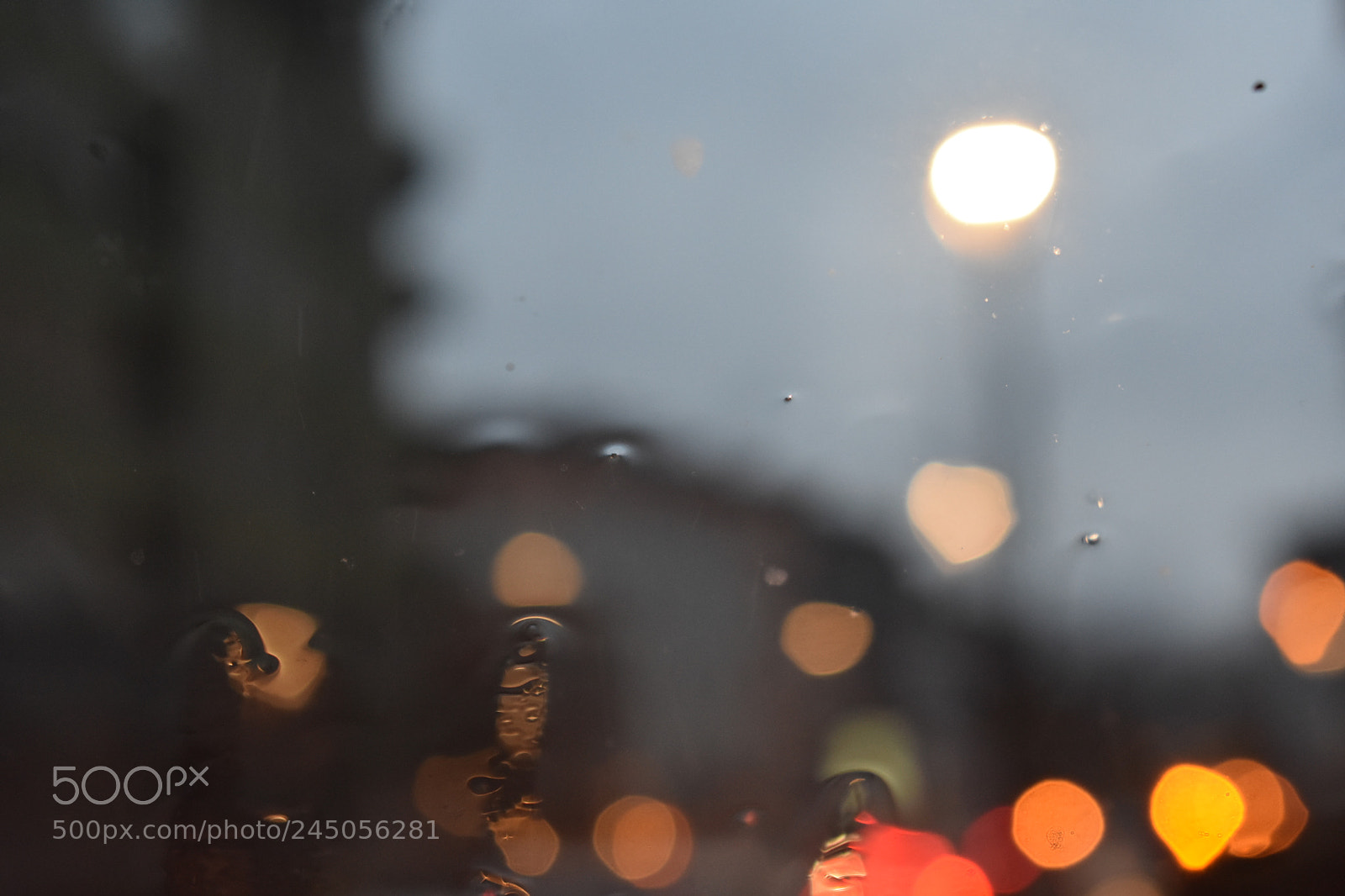 Nikon D3400 sample photo. Rainy light photography
