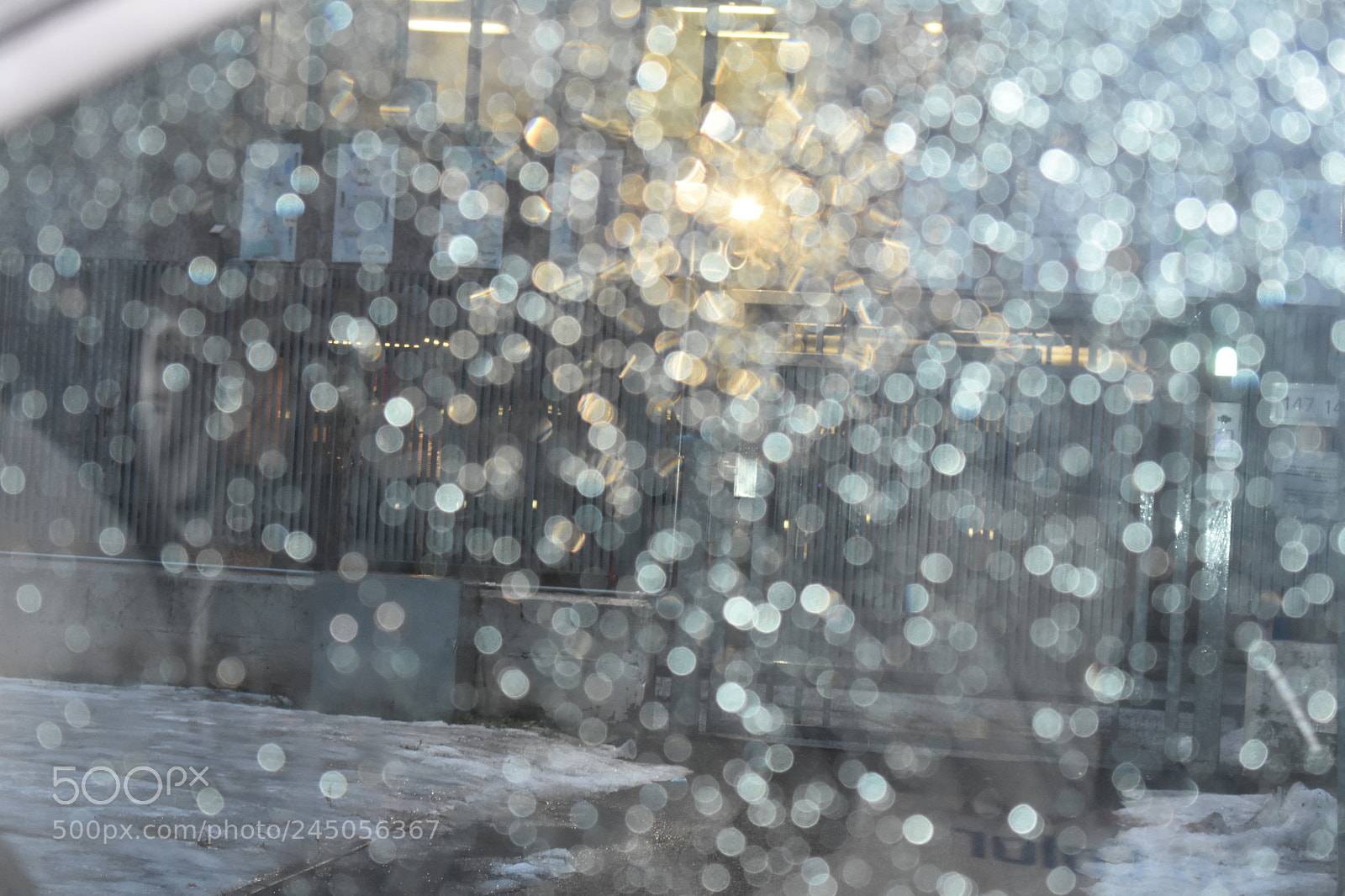 Nikon D3400 sample photo. Rainy light photography