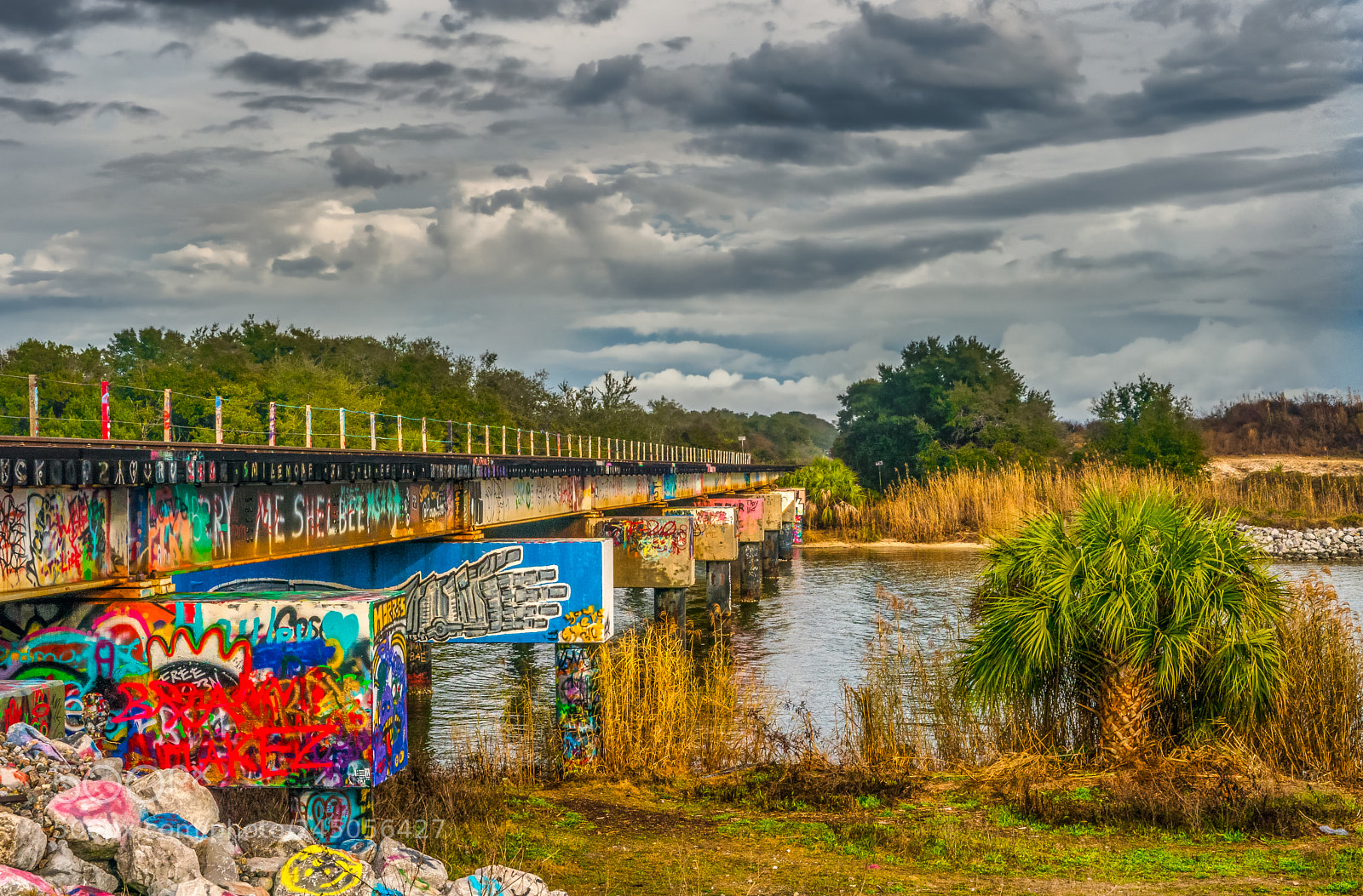 Sony a9 sample photo. Graffiti along the tracks photography