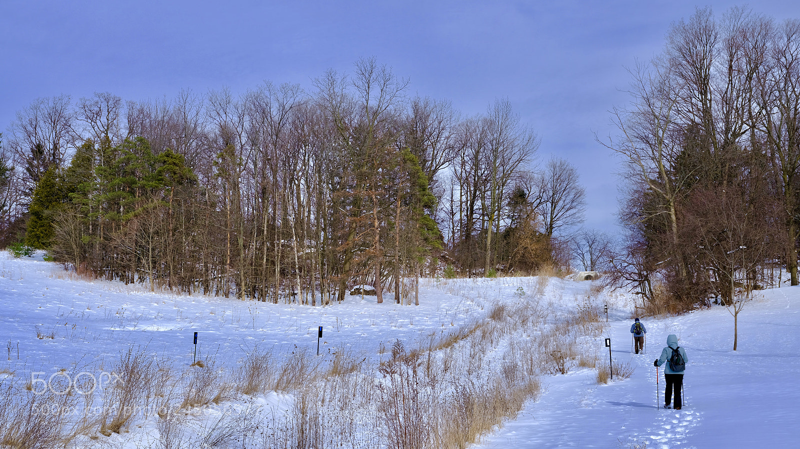 Fujifilm GFX 50S sample photo. Hiking at winter photography