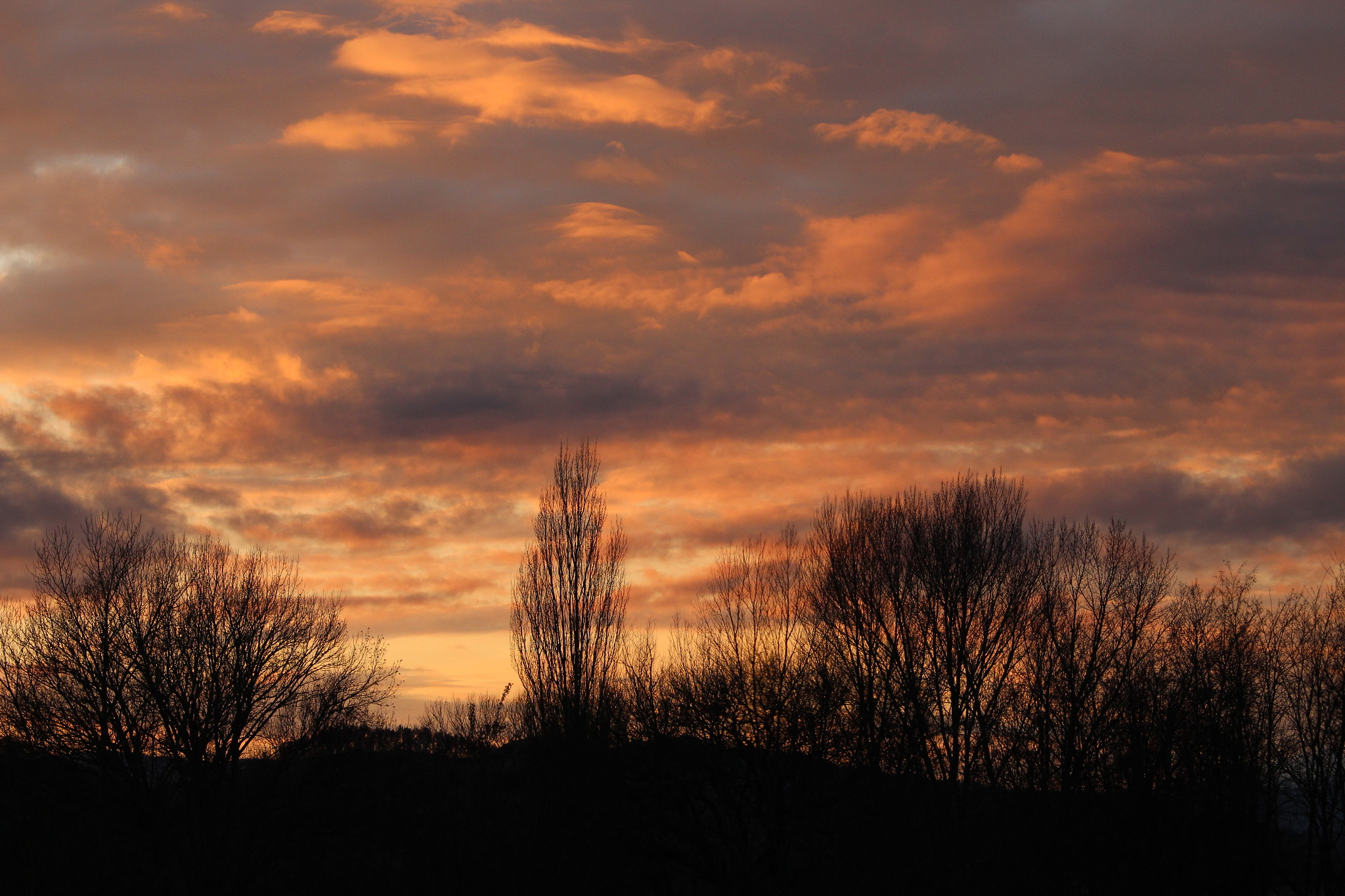 Canon EF-S 55-250mm F4-5.6 IS STM sample photo